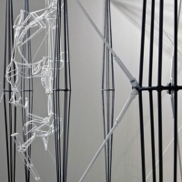 Cross Section of the Bride, 2009