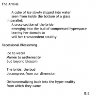 Cross Section of the Bride, 2009