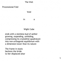 Cross Section of the Bride, 2009