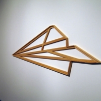 Plein Air Plane, 2007