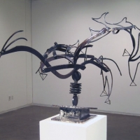 Solstice Peak Star Phoenix, 2008, Profile