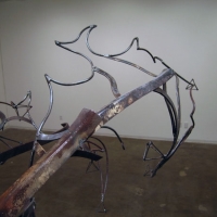 Solstice Peak Star Phoenix, 2008, Detail