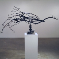 Solstice Peak Star Phoenix, 2008, Profile