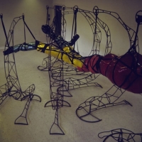 Suspended Growth Cycle, 1997