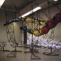 Suspended Growth Cycle, 1997