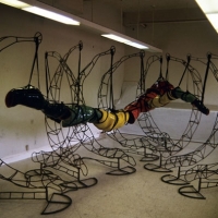 Suspended Growth Cycle, 1997