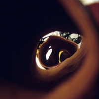 Suspended Growth Cycle, 1997, Detail