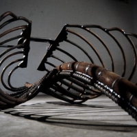 Traversing the Platonic Soul, 1996