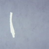 Views of California, 1999