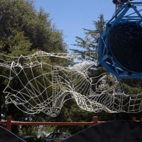 Virgo in the House of Qinglong, 2012, Detail