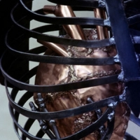 What They Could Never Take Away, 1995, Detail